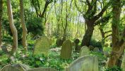PICTURES/Highgate Cemetery East & West - London, England/t_20230520_110017.jpg